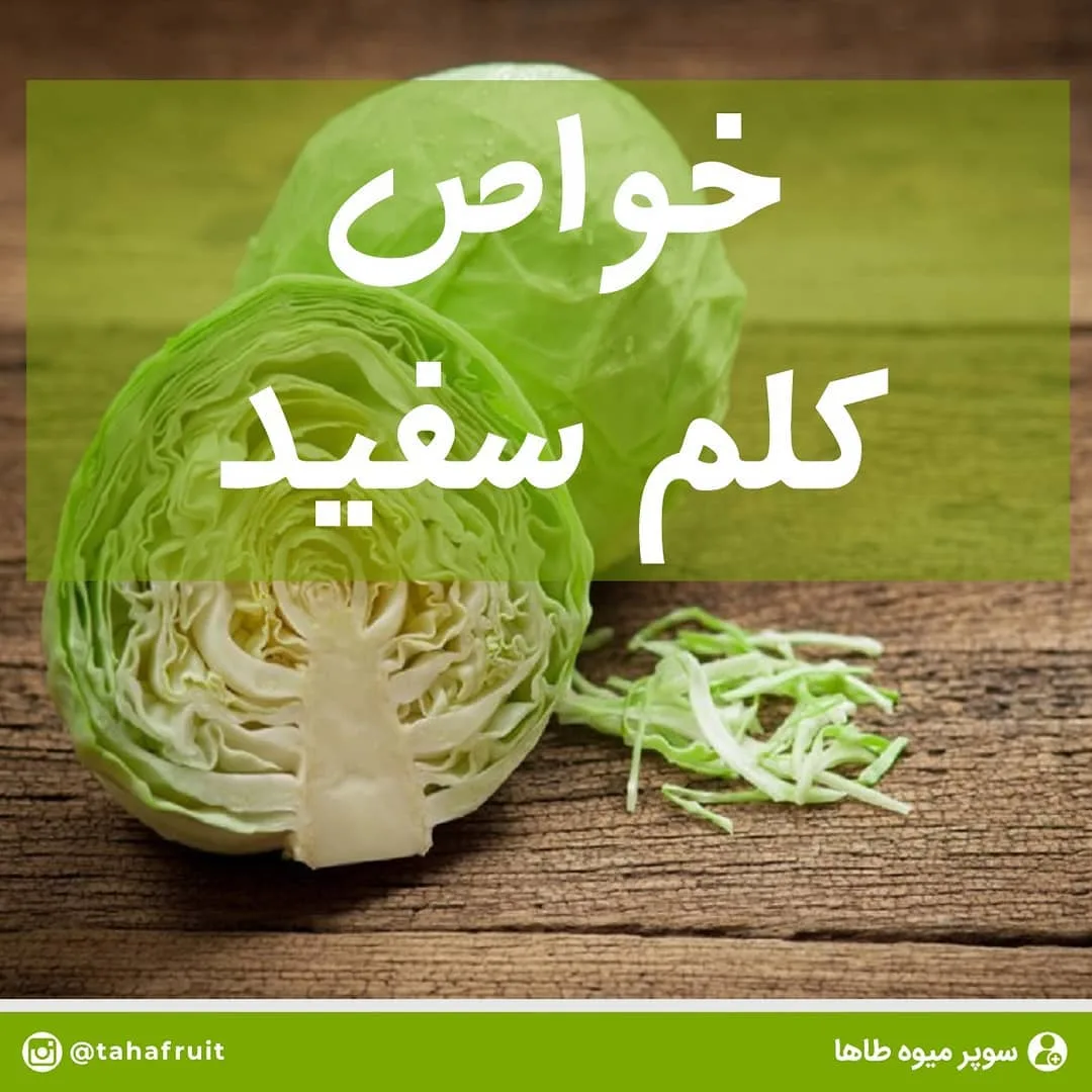 کلم پیچ سفید، رنگ سبز روشن