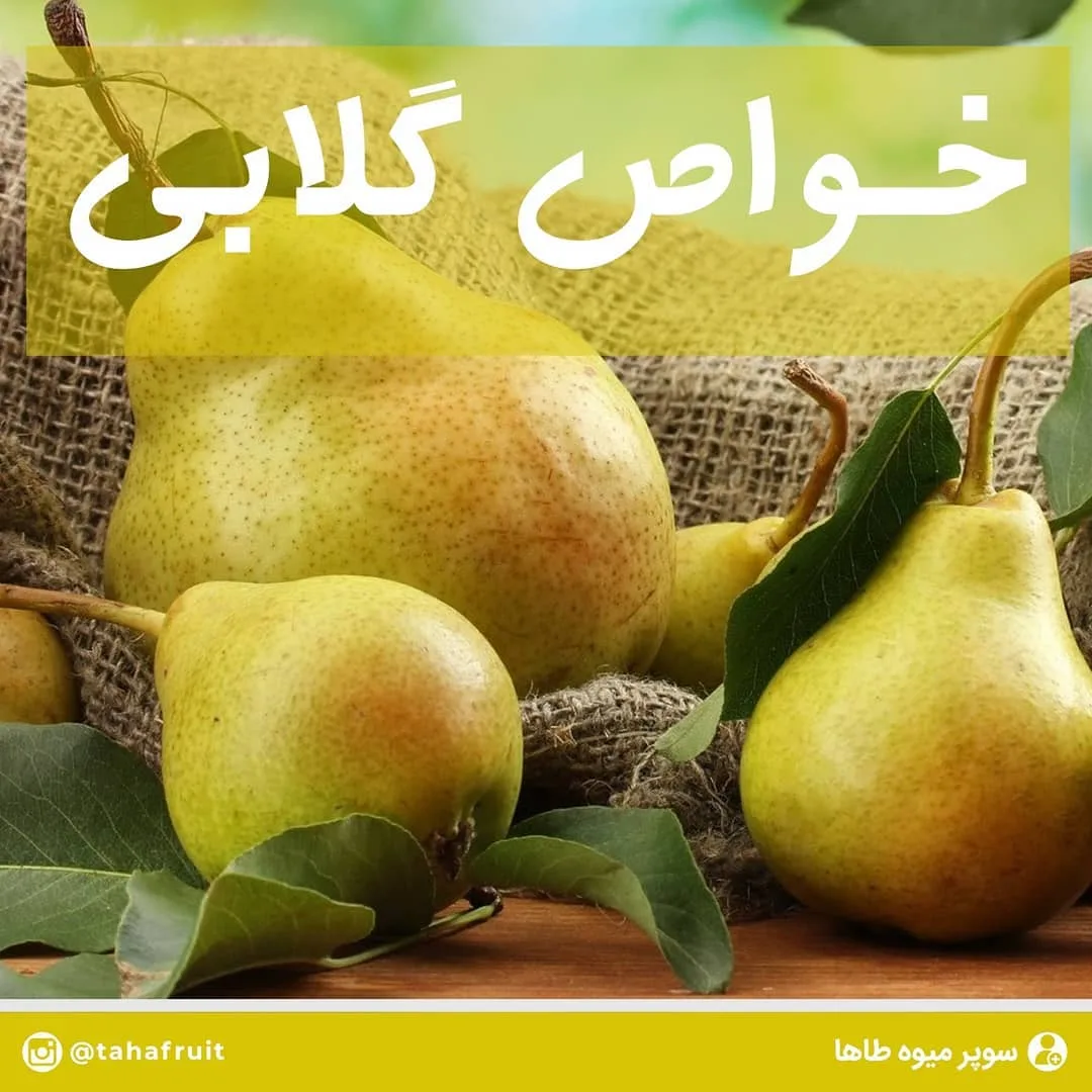 گلابی، رنگ زرد و سبز، میوه