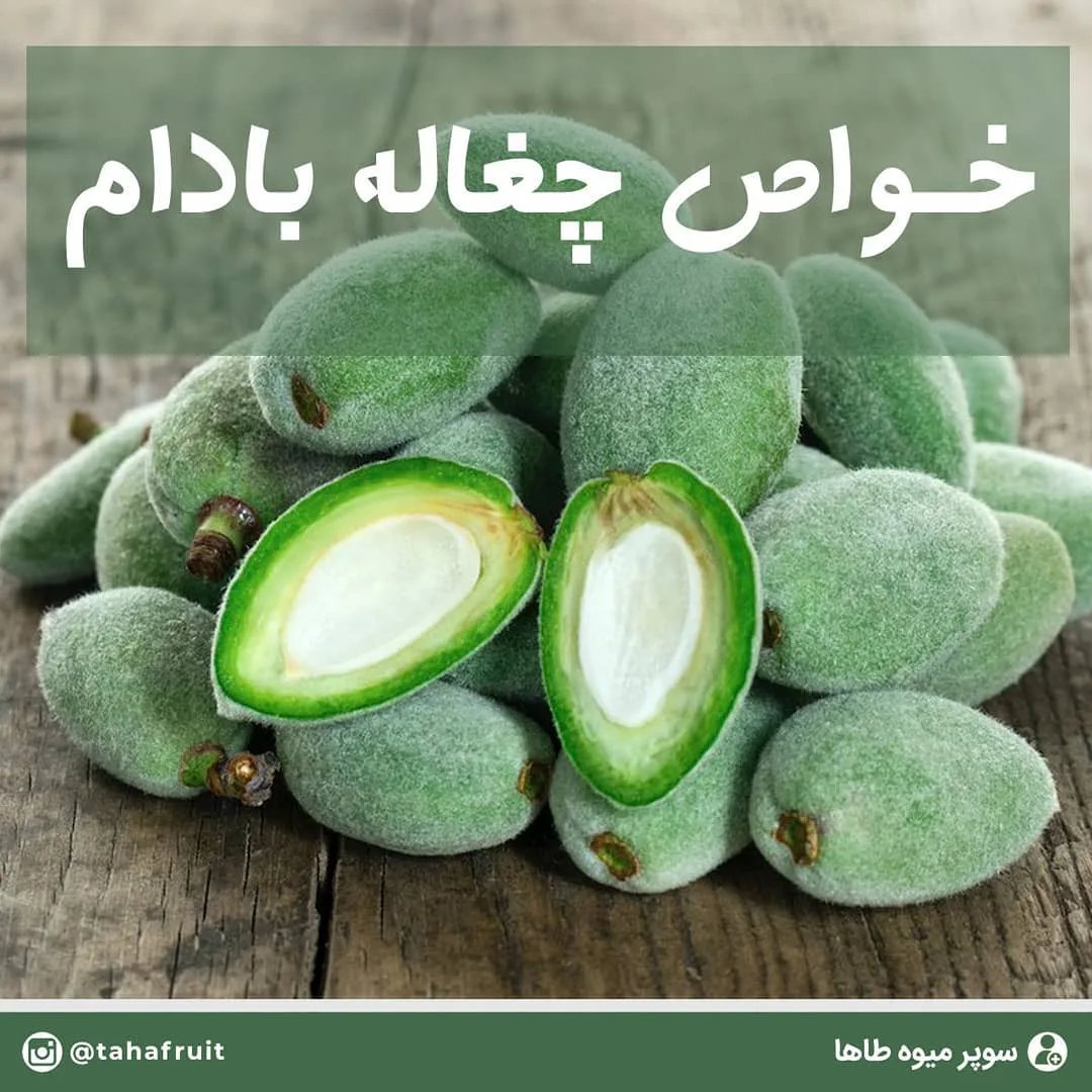 چغاله بادام