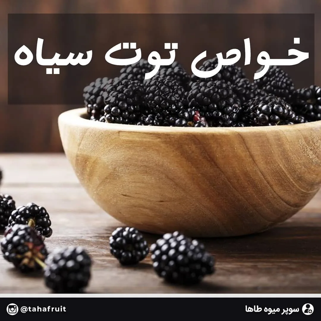توت سیاه