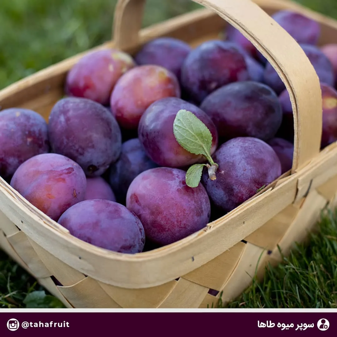 آلو قرمز، رنگ بنفش، بیضی