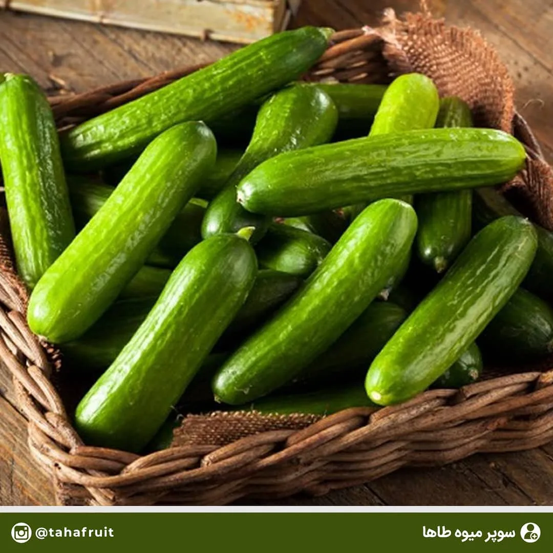خیار، رنگ سبز، صیفی‌جات