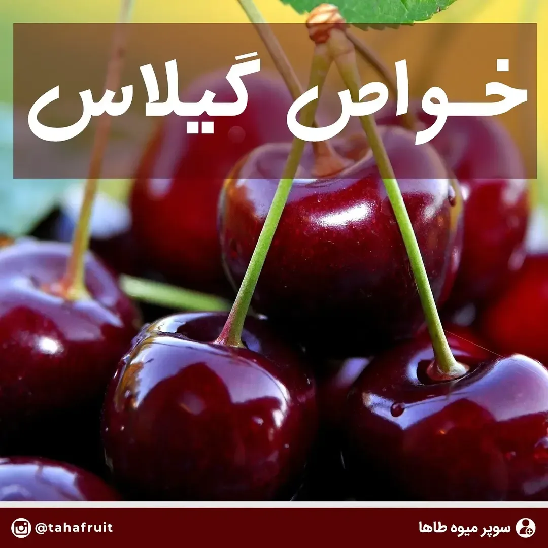 گیلاس