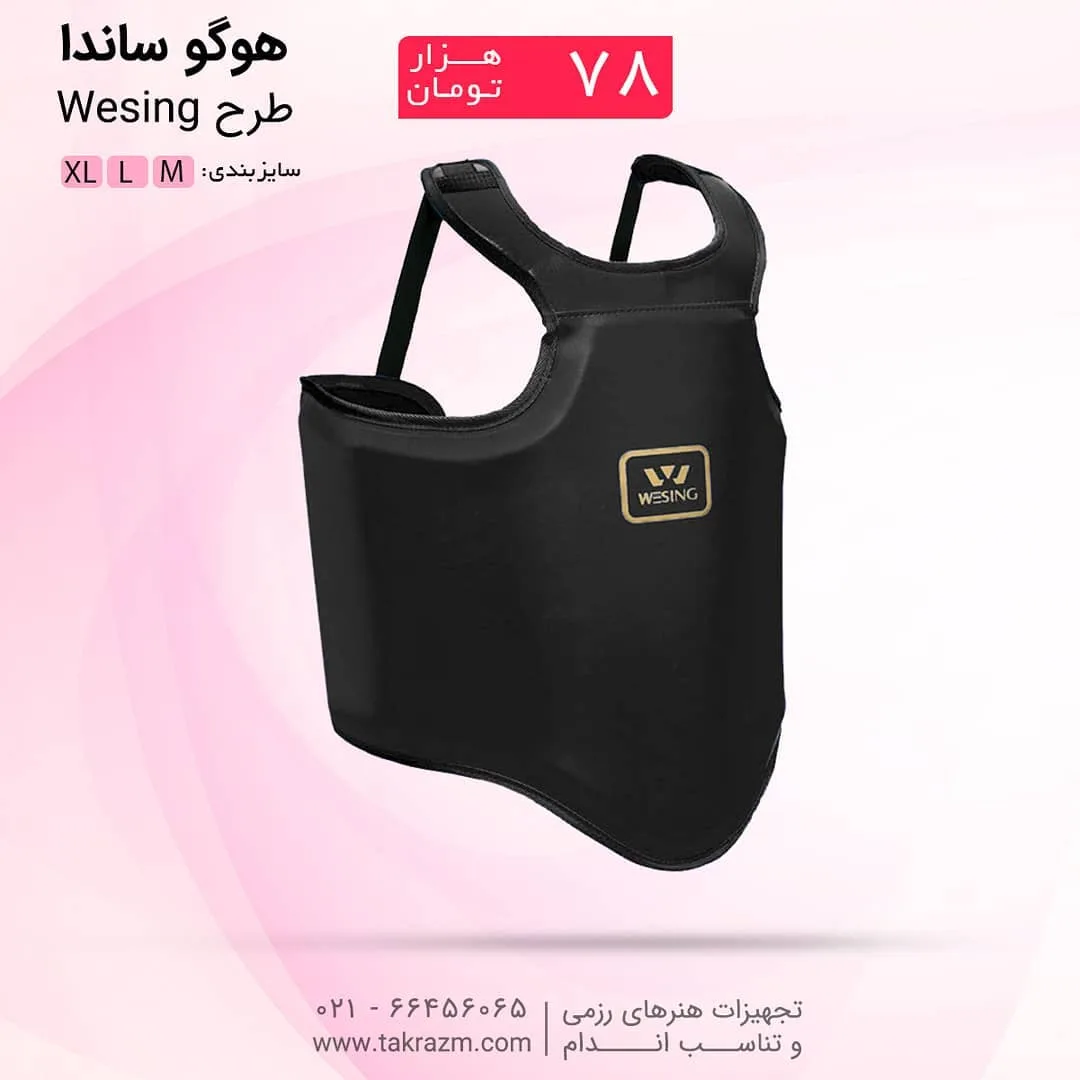 هوگو ساندا WESING