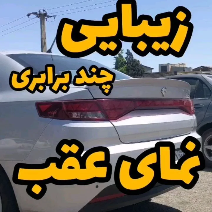 بال عقب خودروهای داخلی