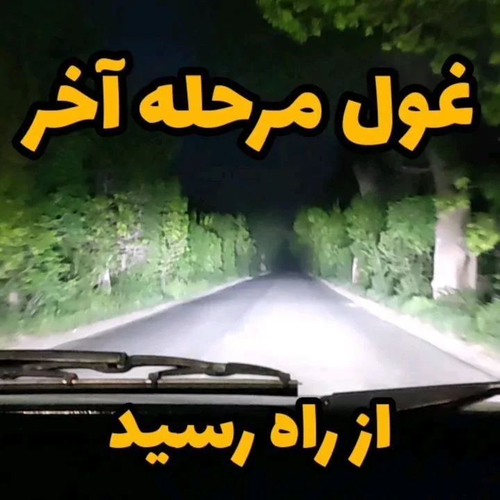 هدلایت فونیکس پایه H7 MZM