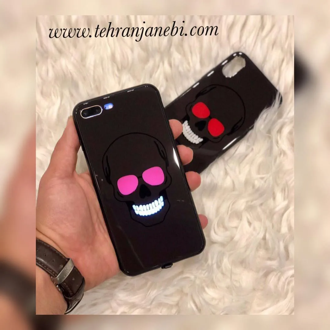 گارد اسکلت پشت گلس