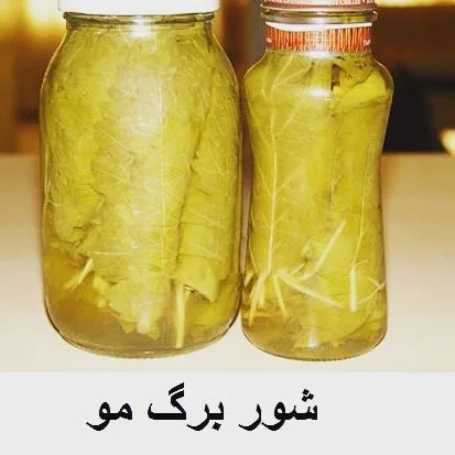 شور برگ مو، رنگ سبز، جنس شیشه و گیاهی، شیشه‌های استوانه‌ای محتوی برگ مو