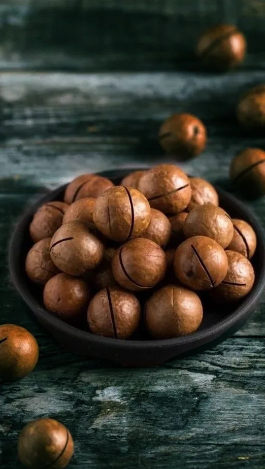 فندق ماکادمیا زربار