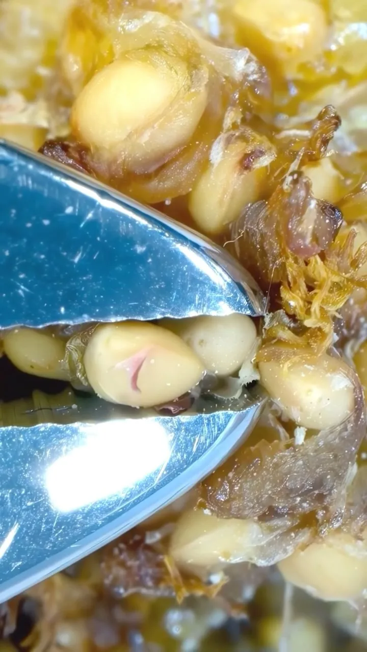 انجیر خشک زربار