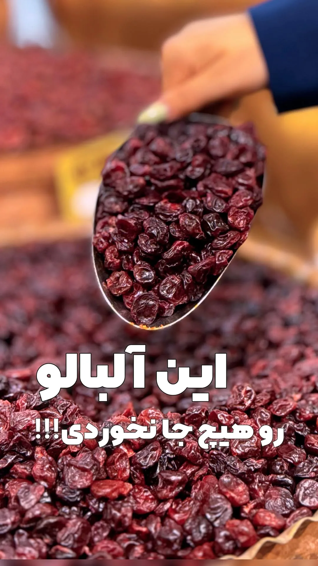 ویشنه آلبالو خشک ترکیه زربار، رنگ قرمز تیره، خشک شده